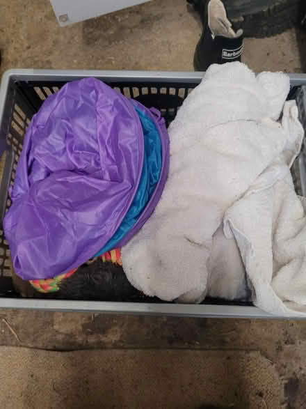 Photo of free Dog toys (OX15 bloxham) #1