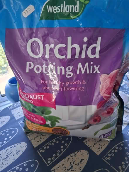 Photo of free Orchid potting mix (SK4 4NS Heaton Chapel) #1