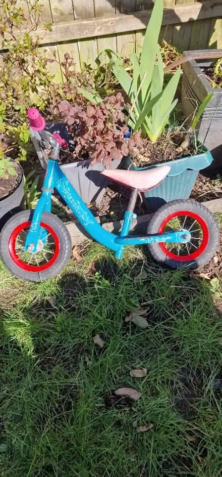 Photo of free Walking toddler bike (Brandhall b68) #1