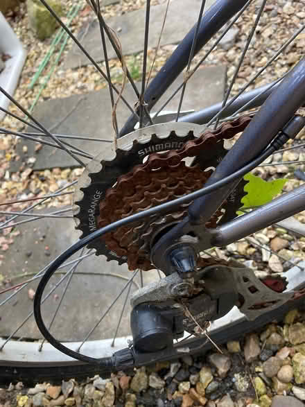 Photo of free Bike (Helsby) #3