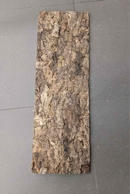 Photo of Cork Panel (Strawberry Hill TW2) #1