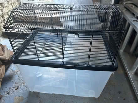 Photo of free Gerbil cage #2 (CT52JG) #2