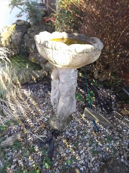Photo of free Ladies concrete bird bath (Killamarsh S21) #1