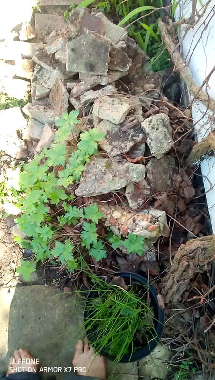 Photo of free Rubble hardcore (Oxford OX4) #1