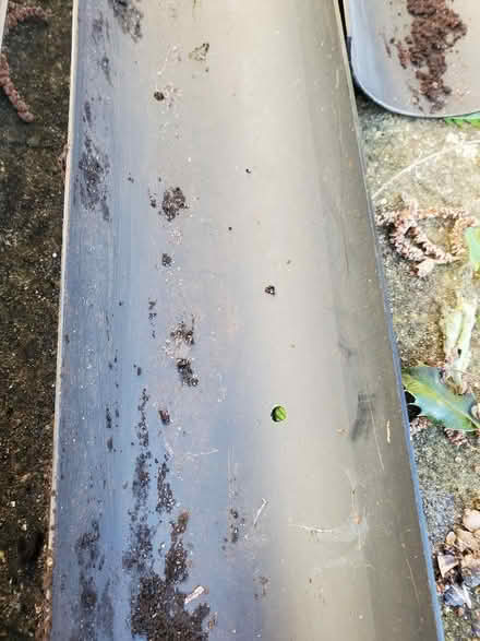 Photo of free Varied lengths of guttering for seedlings (Dyke Road area BN1) #1