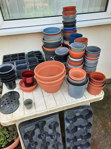 Photo of free Plant pots and trays, many sizes (Stanley Gate L39) #2