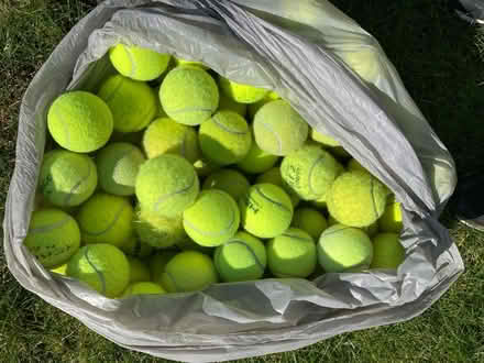 Photo of free Large bag of used tennis balls (SG18 9SE) #1