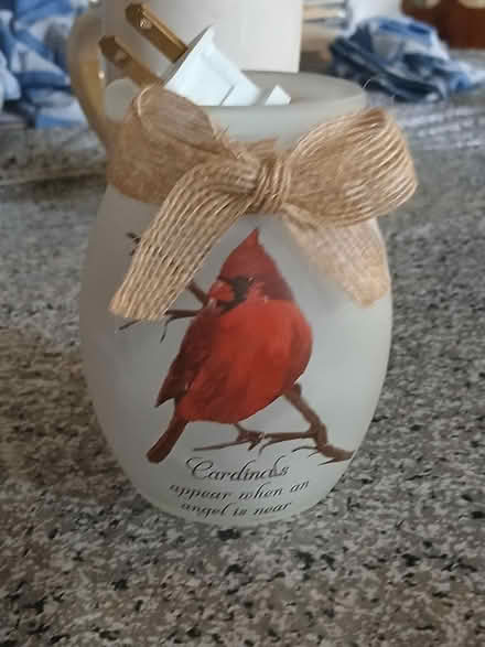 Photo of free Cardinal light (Woburn south) #1