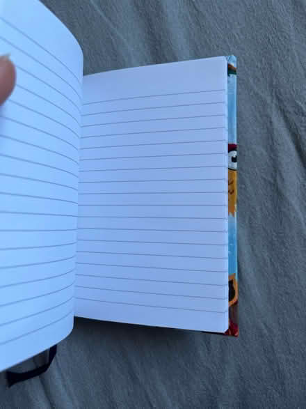 Photo of free Owl notebook (A6?) (RG7 3HY) #2