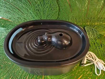 Photo of free Hippo Pet Water Fountain (South East Burlington) #2