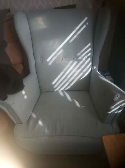 Photo of free Sea green/mint Armchair (Eastbourne BN20) #1
