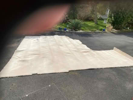 Photo of free Pr8 2hx cream/beige 100% wool carpet (Southport PR8) #1