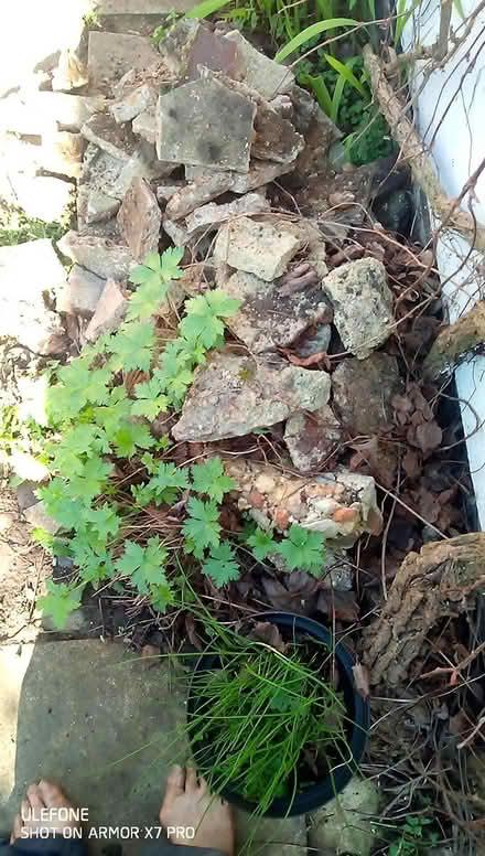 Photo of free Rubble hardcore (Oxford OX4) #2
