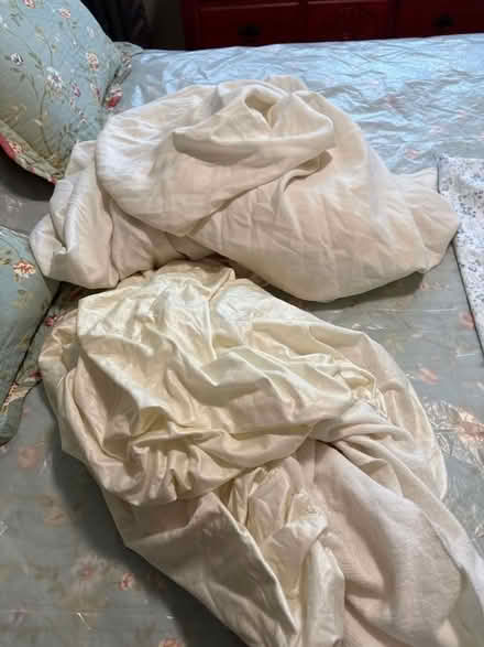 Photo of free Queen top sheet & mattress cover (Santa Clara) #1