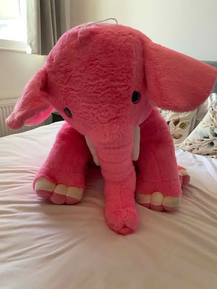 Photo of free Brand New large elephant (Mottingham) #1