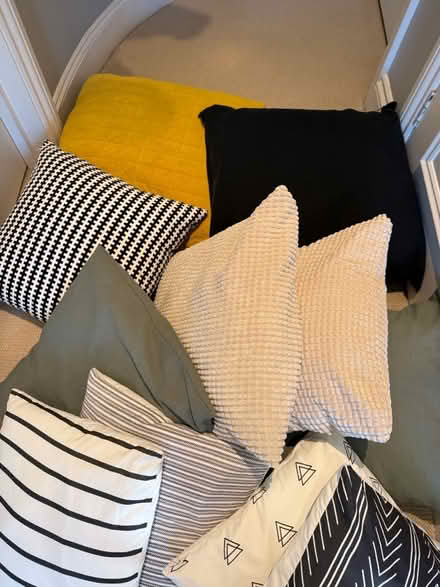 Photo of free Pillows and blankets (Chiswick W4) #2