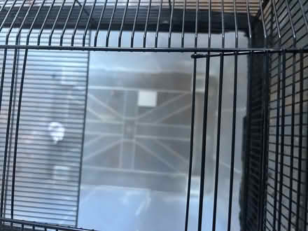 Photo of free Gerbil cage #2 (CT52JG) #1