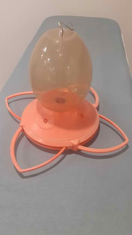 Photo of free Baltimore Oriole feeder (Southdown and Truscott) #1