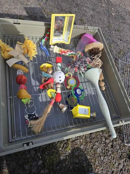 Photo of free Bird cage and bird toys (Milwaukie, Ardenwald) #2