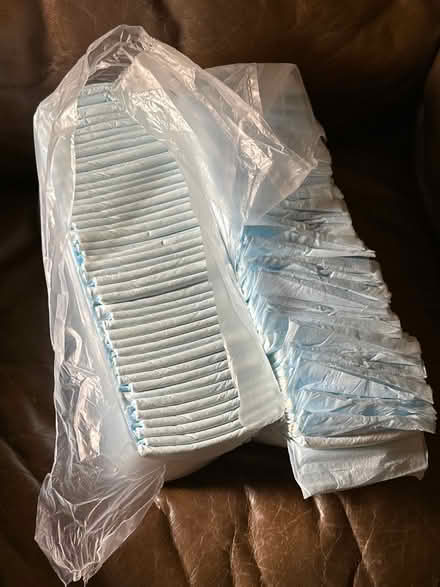 Photo of free Puppy training adsorbent mats (OX1, Henwood) #1