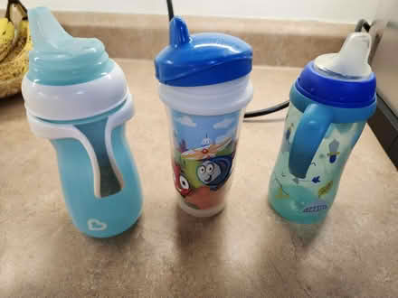 Photo of free Cups (Gatineau) #1