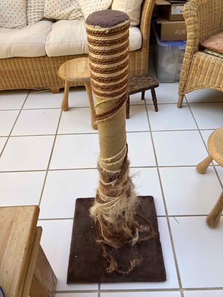 Photo of free Cat Scratching Post Tall (Hailsham BN27) #1