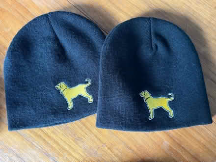 Photo of free Black Dog Hats (Columbia) #1