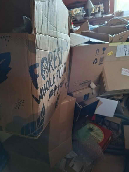 Photo of free 📦 BOXES: medium, small, tiny (Pilton EH4) #1