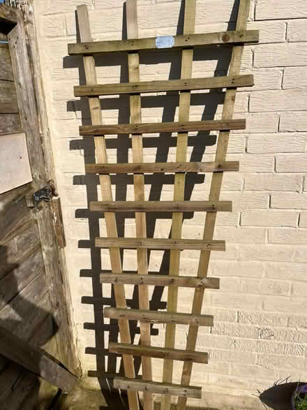 Photo of free Trellis (TN23) #1