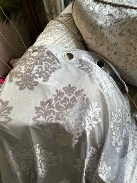 Photo of free Very long and heavy crushed velvet curtains (Birkby HD1) #1