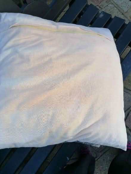 Photo of free Cushions (Langney BN23) #2