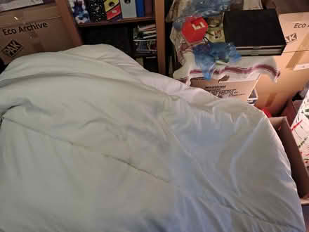 Photo of free Double duvet for pets (Central Braintree) #1