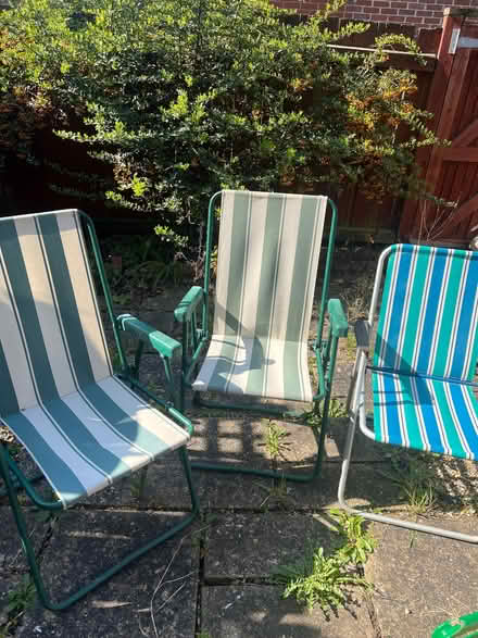 Photo of free Shed clearance (Chiswick W4) #1