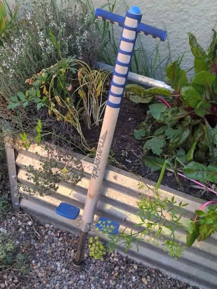 Photo of free Pogo stick (SW Berkeley) #1