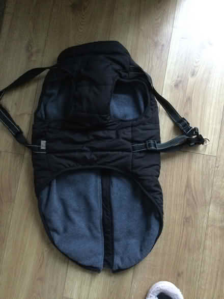 Photo of free Dog coat size 4XL (Mitcham CR4) #2