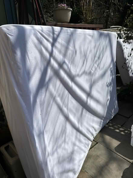 Photo of free 2 Queen matrasses with cover (Chevy Chase DC) #3