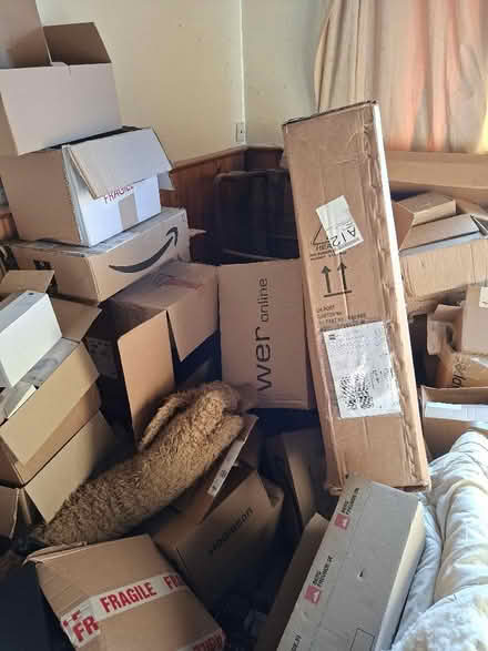 Photo of free 📦 BOXES: medium, small, tiny (Pilton EH4) #2