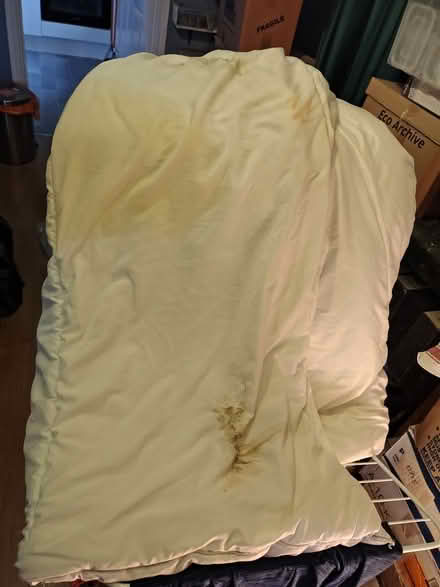 Photo of free Double duvet for pets (Central Braintree) #2