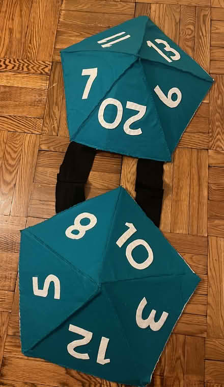 Photo of free silly D&D homemade costume (Kensington Brooklyn) #1
