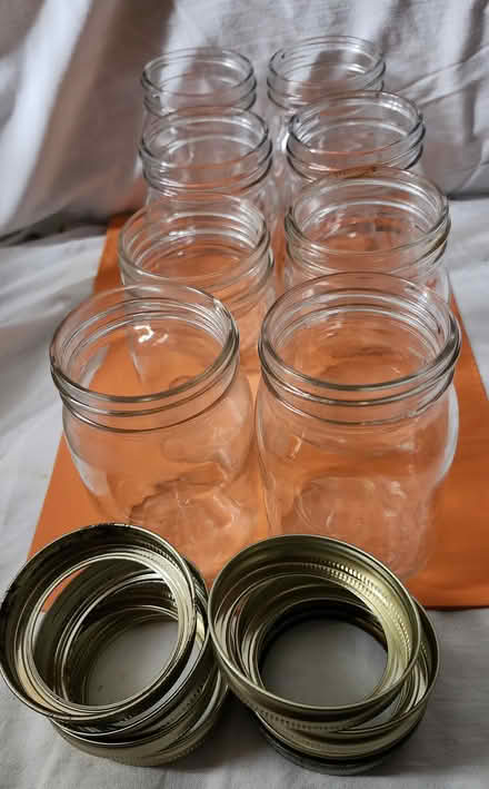 Photo of free Pint mason jars w rims (Wellington Village) #1