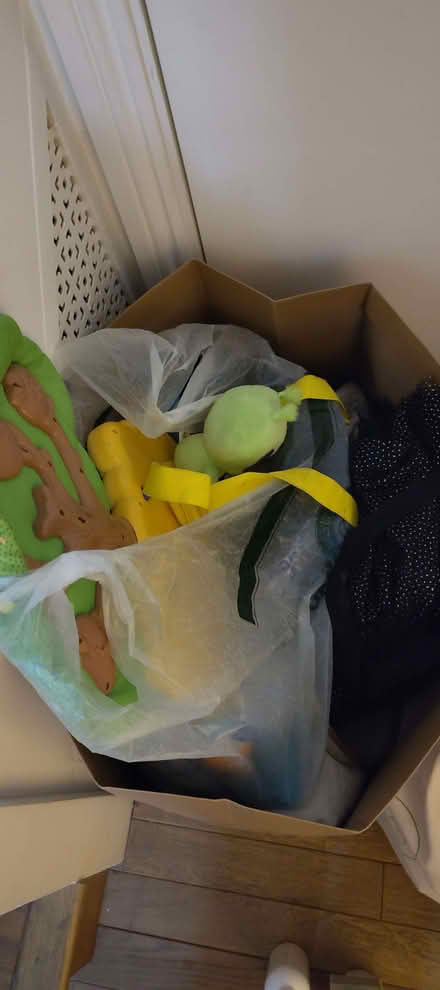 Photo of free Toys, costumes and adult blanket. (Pimlico SW1W) #1