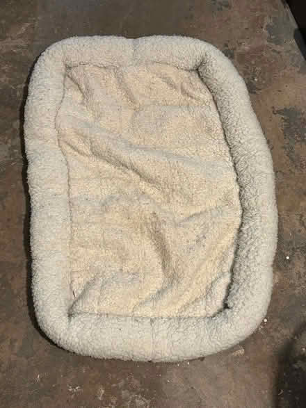 Photo of free Dog Bed (Arlington) #1