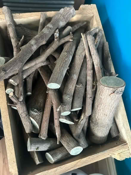 Photo of free Dried wood for log burner (BD18 Wrose) #1