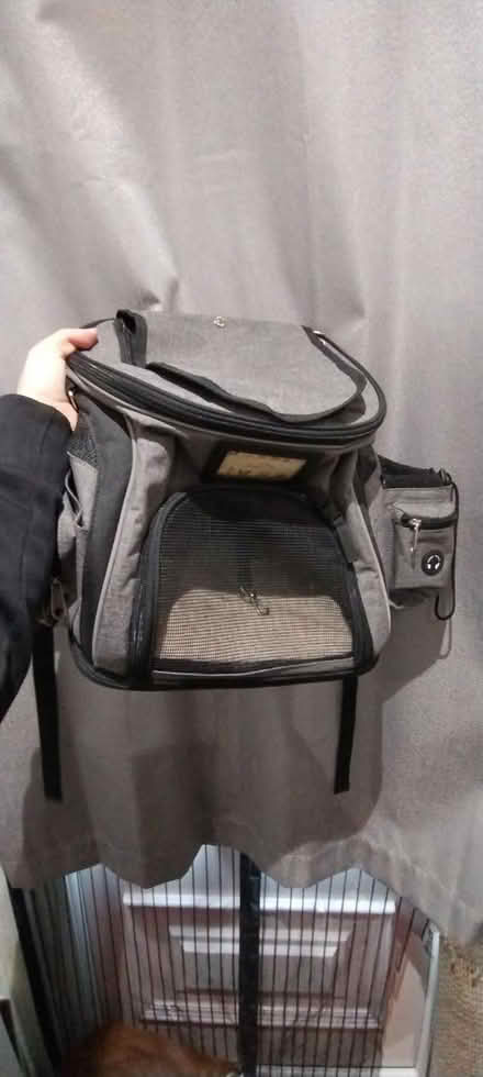 Photo of free Small pet backpack (Near East Acton station) #2