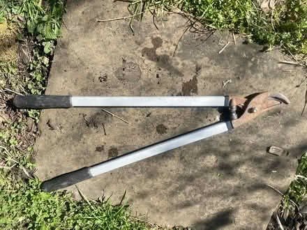 Photo of free Garden loppers (Freshford BA2) #1