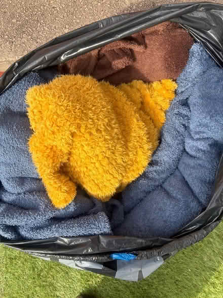 Photo of free fleece blankets for dogs / pets (Stockport SK1) #2