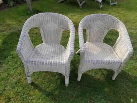 Photo of free Wicker chairs (Horsham) #1