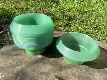 Photo of free Plant collars (Freshford BA2) #1