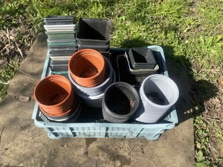 Photo of free plant pots and crates (Freshford BA2) #1