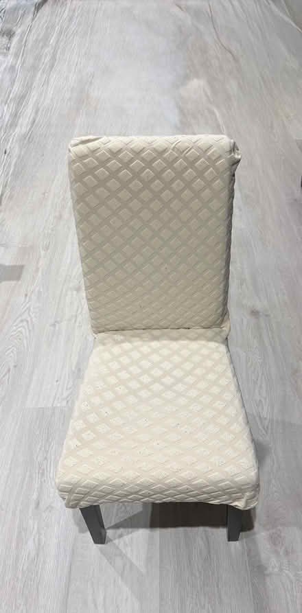 Photo of free 4 velvet dining chairs + cover (AL4) #2